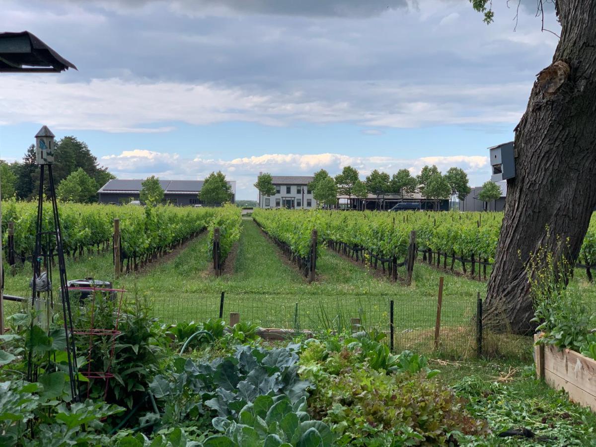 Green Oaks B&B Niagara-on-the-Lake Екстер'єр фото